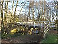 Footbridge over the River Burn