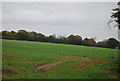 Farmland, Boulge Rd