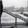 TL4653 : Footbridge in the snow by John Sutton