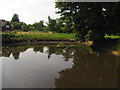 Pond in Knole Park