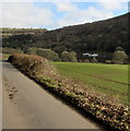 Gap in a field hedge south of Whitebrook