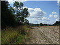 SP6974 : Farmland beside woodland near Cottesbrooke Park by JThomas