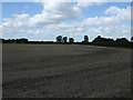 Stubble field near Naseby