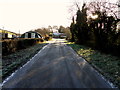 H7149 : Curlagh Road, Curlagh by Kenneth  Allen