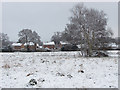 Houses near Horsell Birch