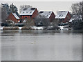 Houses by Goldsworth Park Lake