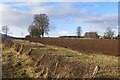 Ploughed field, Inverdunning