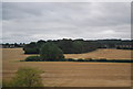 Hedge, Dairy House Farm