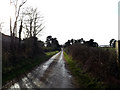 TM4457 : Private Road off the A1094 Saxmundham Road by Geographer