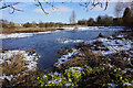 Frozen marshy ground on the edge of Retford