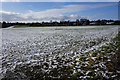 Playing fields on the edge of Retford