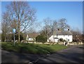 Village Green, Curland