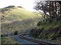 SN7377 : The Vale of Rheidol Railway skirts Coed Tynycastell by John Lucas