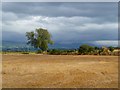 Farmland, Brougham