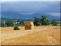 Farmland, Brougham