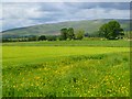 Farmland, Culgaith