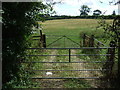 Gated field entrance off Theddingworth Road (A304)