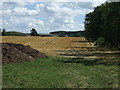 Stubble field off Theddingworth Road (A304)