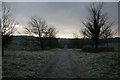 Frosty morning at the edge of the North Plantation