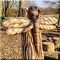 Dragonfly Carving, Higher Penwortham