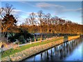 SD5328 : River Ribble, Avenham Park by David Dixon