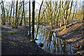 The outflow from the reservoir at Blackleach Country Park