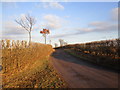 Road from Beech Farm