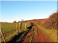 Llwybr Big House  / Big House path