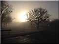 Foggy Winter Sunrise from Romanby Village Green