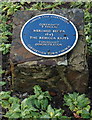 Blue plaque on Picton Terrace, Carmarthen