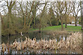 Small pond, Gablefields, Sandon