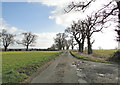 Road across Coldham Green