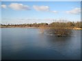 SP8413 : Aylesbury: Pond by Bear Brook by Nigel Cox