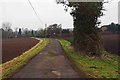 SO8780 : North Worcestershire Path running between two fields, near Iverley by P L Chadwick