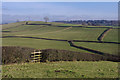 SD5286 : Grazing land at Stainton by Ian Taylor