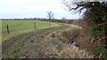 Track across the Avon floodplain