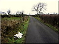 Cairn Road, Drumnakilly