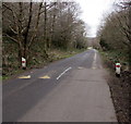 Speed bumps in Dare Valley Country Park