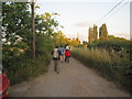 Walkers in Road