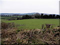 Carrickone Townland