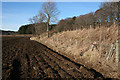 Ploughed Land