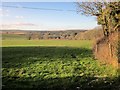 Field by Duloe church