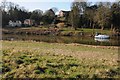 Houses at the Rhydd