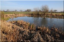 SO8345 : Pond in meadowland beside the Severn by Philip Halling