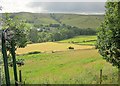 Hebble Brook valley