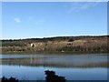 Big Wood Quarry on the Co Down side of the Newry River