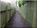 Path towards the Leven Canal