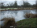 Ice on the Leven Canal