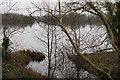 Wraysbury Lakes