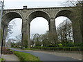 The viaduct, Trenance, Newquay